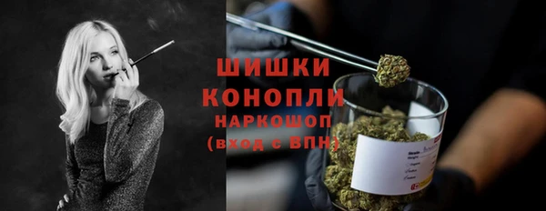 стафф Аркадак