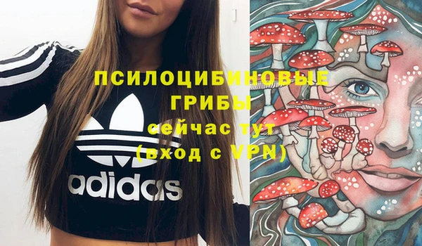 стафф Аркадак