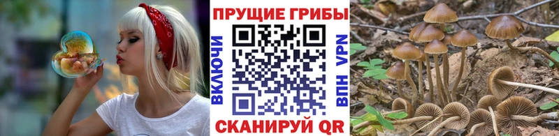 наркотики Нижние Серги Псилоцибиновые грибы MAGIC MUSHROOMS